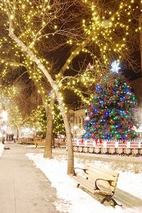 disfruta-la-navidad disfruta-la-navidad